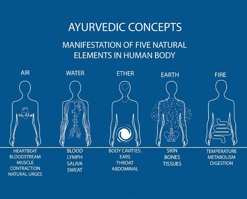 The connection between Yoga and Ayurveda The connection between Yoga and Ayurveda The connection between Yoga and Ayurveda The connection between Yoga and Ayurveda The connection between Yoga and Ayurveda The connection between Yoga and Ayurveda The connection between Yoga and Ayurveda The connection between Yoga and Ayurveda The connection between Yoga and Ayurveda The connection between Yoga and Ayurveda The connection between Yoga and Ayurveda The connection between Yoga and Ayurveda The connection between Yoga and Ayurveda The connection between Yoga and Ayurveda The connection between Yoga and Ayurveda The connection between Yoga and Ayurveda The connection between Yoga and Ayurveda The connection between Yoga and Ayurveda The connection between Yoga and Ayurveda The connection between Yoga and Ayurveda The connection between Yoga and Ayurveda The connection between Yoga and Ayurveda The connection between Yoga and Ayurveda The connection between Yoga and Ayurveda The connection between Yoga and Ayurveda The connection between Yoga and Ayurveda The connection between Yoga and Ayurveda The connection between Yoga and Ayurveda The connection between Yoga and Ayurveda The connection between Yoga and Ayurveda The connection between Yoga and Ayurveda The connection between Yoga and Ayurveda The connection between Yoga and Ayurveda The connection between Yoga and Ayurveda The connection between Yoga and Ayurveda The connection between Yoga and Ayurveda The connection between Yoga and Ayurveda The connection between Yoga and Ayurveda The connection between Yoga and Ayurveda The connection between Yoga and Ayurveda The connection between Yoga and Ayurveda The connection between Yoga and Ayurveda The connection between Yoga and Ayurveda The connection between Yoga and Ayurveda The connection between Yoga and Ayurveda The connection between Yoga and Ayurveda