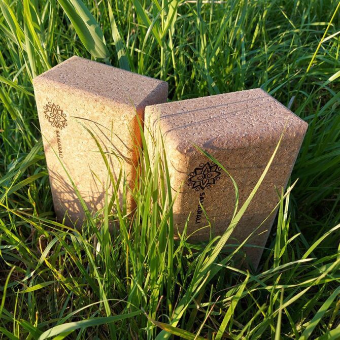 Cork yoga blocks (2 pieces) Cork yoga blocks (2 pieces) Cork yoga blocks