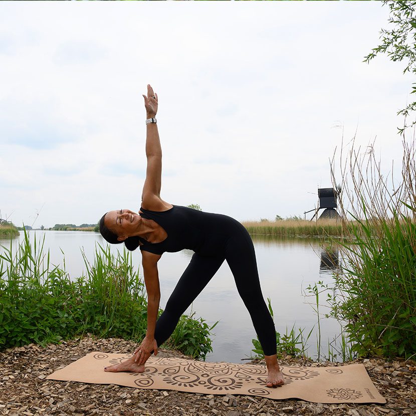 Eclipse de lune_4 Ensemble de yoga pour le lever de la lune