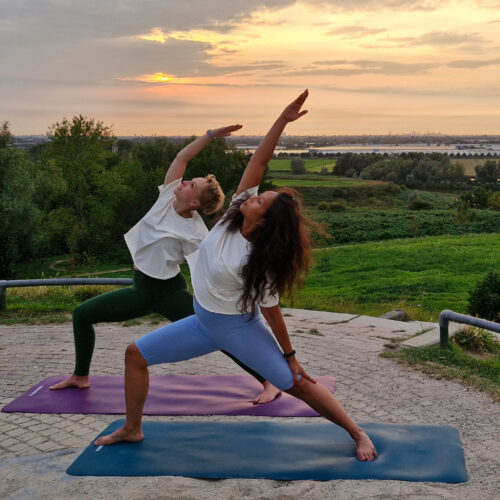 Tapis de yoga en caoutchouc naturel Tapis de yoga en caoutchouc naturel Tapis en caoutchouc naturel prune et vert foncé 4